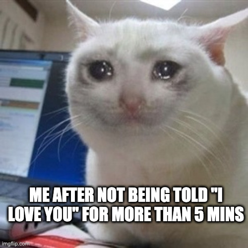 Crying cat | ME AFTER NOT BEING TOLD "I LOVE YOU" FOR MORE THAN 5 MINS | image tagged in crying cat | made w/ Imgflip meme maker