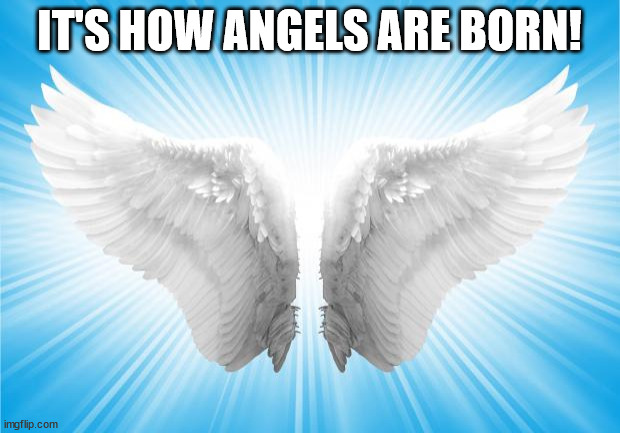 Angels | IT'S HOW ANGELS ARE BORN! | image tagged in angels | made w/ Imgflip meme maker