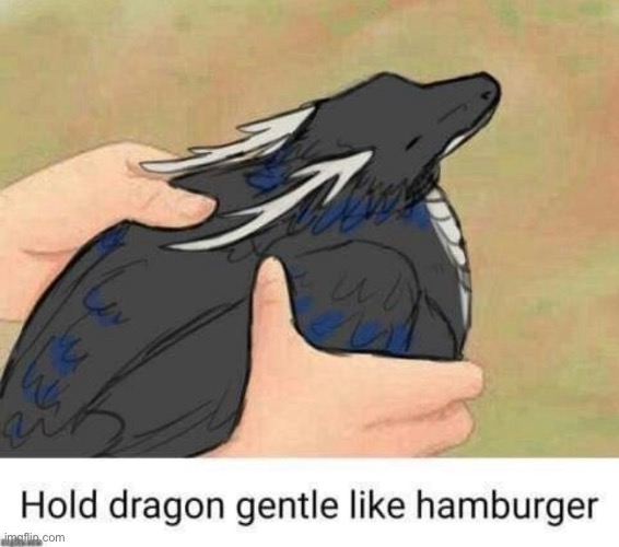 Hamburber | image tagged in dragon,shitpost,hamburger | made w/ Imgflip meme maker