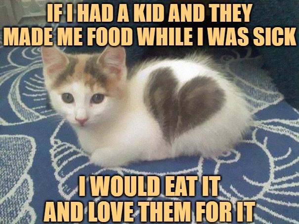 cute cat heart | IF I HAD A KID AND THEY MADE ME FOOD WHILE I WAS SICK I WOULD EAT IT AND LOVE THEM FOR IT | image tagged in cute cat heart | made w/ Imgflip meme maker