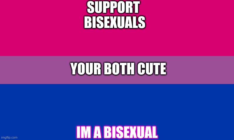 Im proud to be who i am | SUPPORT 
BISEXUALS; YOUR BOTH CUTE; IM A BISEXUAL | image tagged in bi flag | made w/ Imgflip meme maker