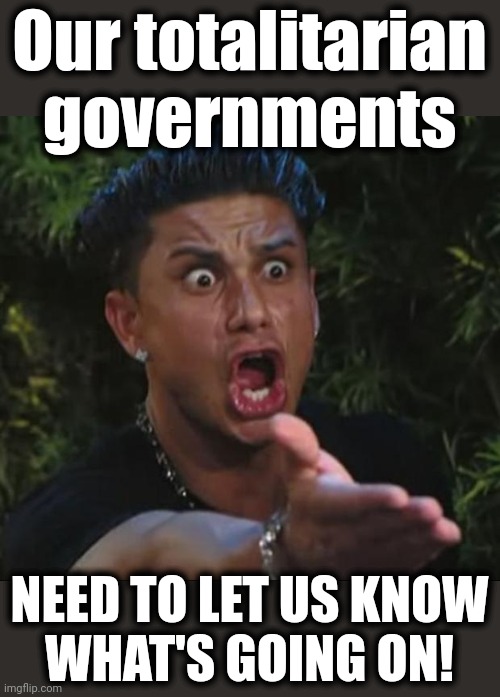 DJ Pauly D Meme | Our totalitarian governments NEED TO LET US KNOW
WHAT'S GOING ON! | image tagged in memes,dj pauly d | made w/ Imgflip meme maker