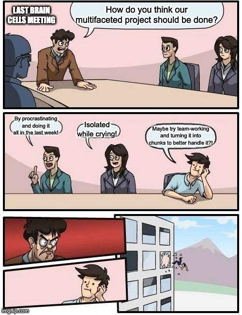 Pro-Jet! | How do you think our multifaceted project should be done? LAST BRAIN CELLS MEETING; By procrastinating and doing it all in the last week! Isolated while crying! Maybe try team-working and turning it into chunks to better handle it?! | image tagged in memes,boardroom meeting suggestion | made w/ Imgflip meme maker