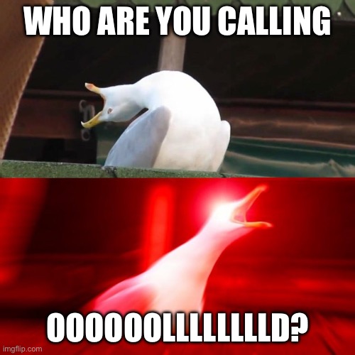 Old? | WHO ARE YOU CALLING; OOOOOOLLLLLLLLD? | image tagged in boy seagull | made w/ Imgflip meme maker