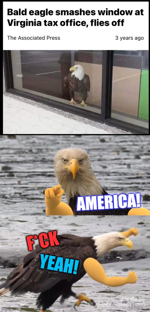 Taxation is theft | AMERICA! F*CK; YEAH! | image tagged in bald eagle,badass,taxes,taxation is theft,america,fuck yeah | made w/ Imgflip meme maker