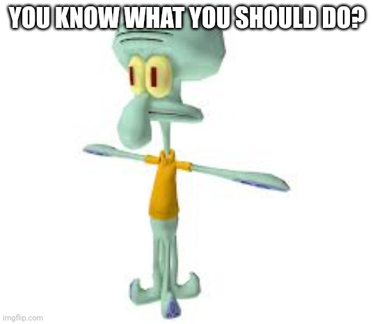 Squidward t pose white background | YOU KNOW WHAT YOU SHOULD DO? | image tagged in squidward t pose white background | made w/ Imgflip meme maker