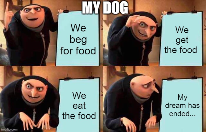 My dog's food plan | MY DOG; We beg for food; We get the food; We eat the food; My dream has ended... | image tagged in memes,gru's plan | made w/ Imgflip meme maker