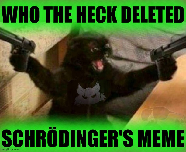 Schrödinger's meme. Dead and alive at the same time. | WHO THE HECK DELETED; SCHRÖDINGER'S MEME | image tagged in cat with guns,schroedinger's cat,submitted,featured,neither,both | made w/ Imgflip meme maker