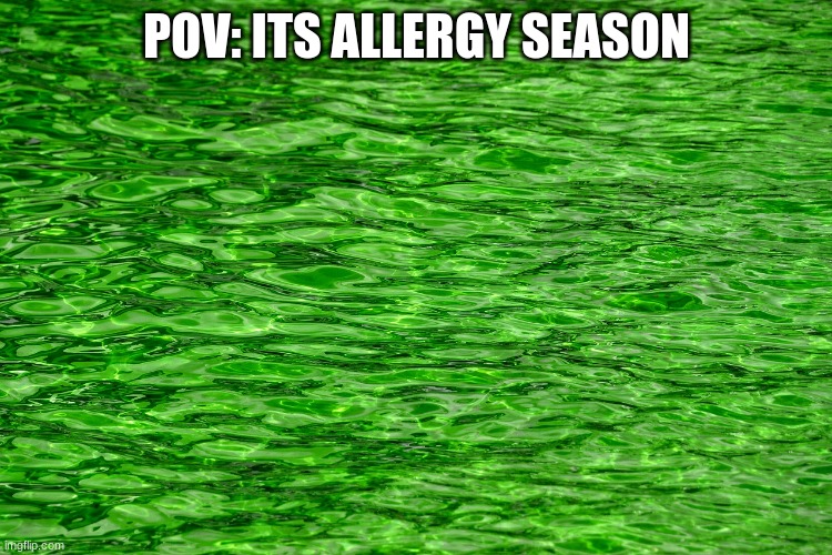 pov: its allergy season | POV: ITS ALLERGY SEASON | image tagged in green water,funny,sickness,fun,lol,why | made w/ Imgflip meme maker