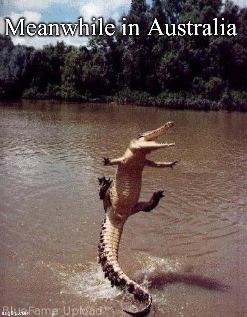 Happy Dance down under | Meanwhile in Australia | image tagged in happy crocodile,happy,happy dance | made w/ Imgflip meme maker