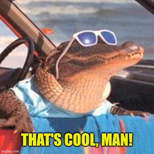 Cool Gator | THAT'S COOL, MAN! | image tagged in cool gator | made w/ Imgflip meme maker