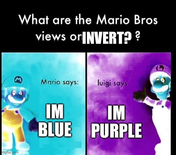fr | INVERT? IM BLUE; IM PURPLE | image tagged in mario bros views,blue mario,purple luigi,what,memes,invert | made w/ Imgflip meme maker