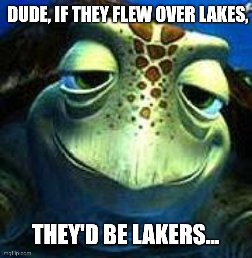 Finding Nemo turtle | DUDE, IF THEY FLEW OVER LAKES, THEY'D BE LAKERS... | image tagged in finding nemo turtle | made w/ Imgflip meme maker
