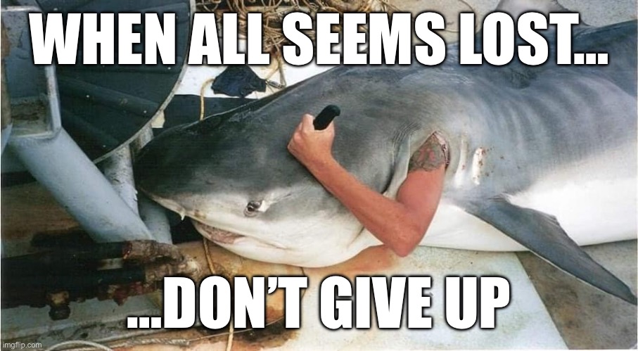 Don’t give up | WHEN ALL SEEMS LOST…; …DON’T GIVE UP | image tagged in stay positive,fishing for upvotes | made w/ Imgflip meme maker