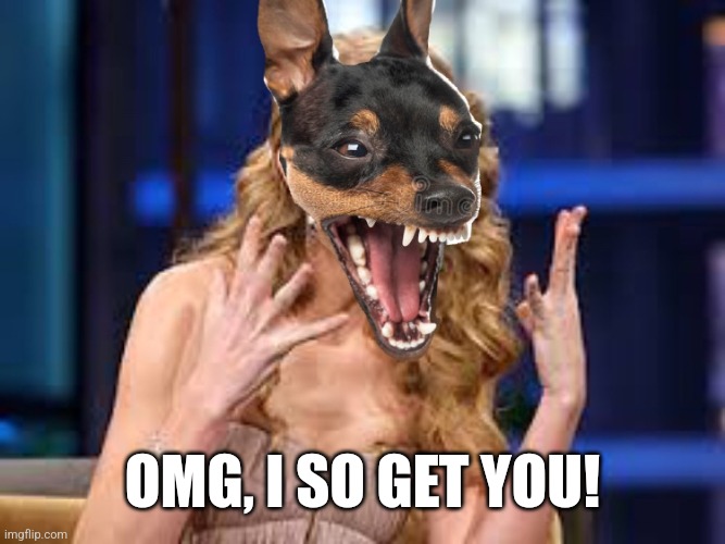 Taylor Swift OMG dog | OMG, I SO GET YOU! | image tagged in taylor swift omg dog | made w/ Imgflip meme maker