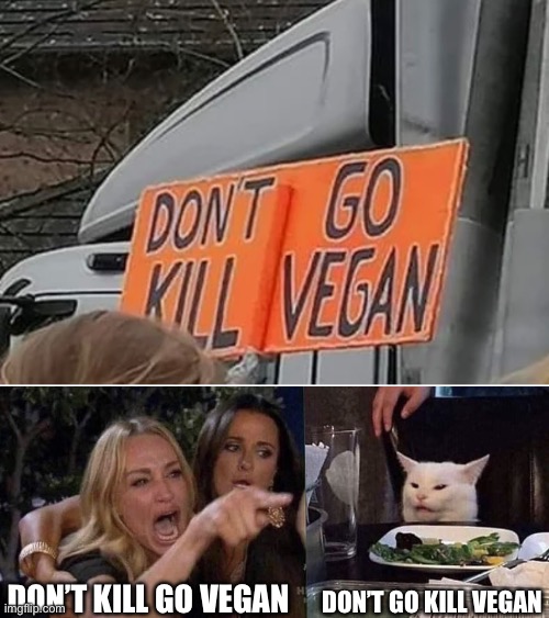 Found it on Reddit lol | DON’T KILL GO VEGAN; DON’T GO KILL VEGAN | image tagged in woman yelling at cat,dont go,kill,vegan,funny,mems | made w/ Imgflip meme maker