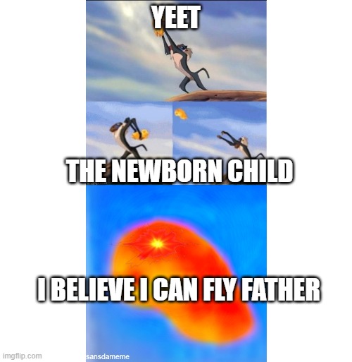 TO THE MOON WITH HIM | YEET; THE NEWBORN CHILD; I BELIEVE I CAN FLY FATHER | image tagged in simba,fly,flying,fun,funny,memes | made w/ Imgflip meme maker