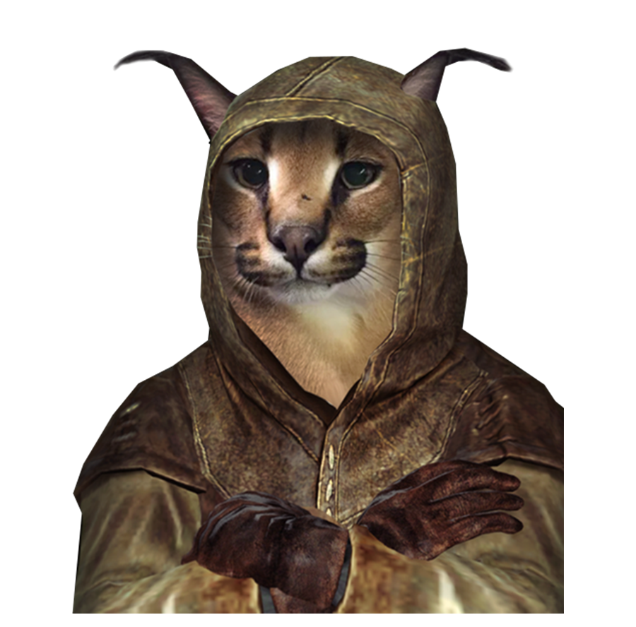 khajiit floppa Blank Template - Imgflip