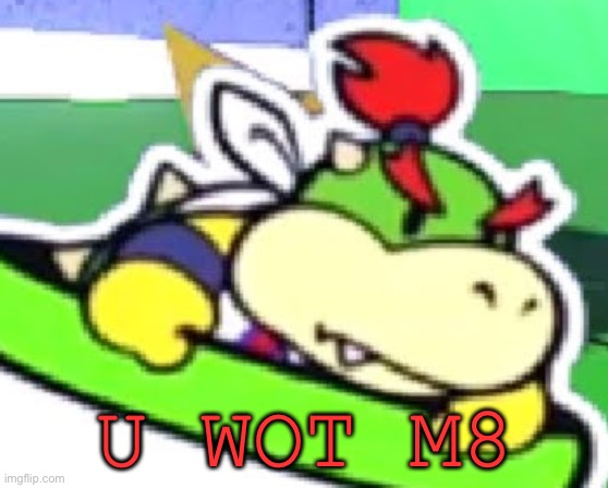 Bowser jr u wot m8 | image tagged in bowser jr u wot m8 | made w/ Imgflip meme maker