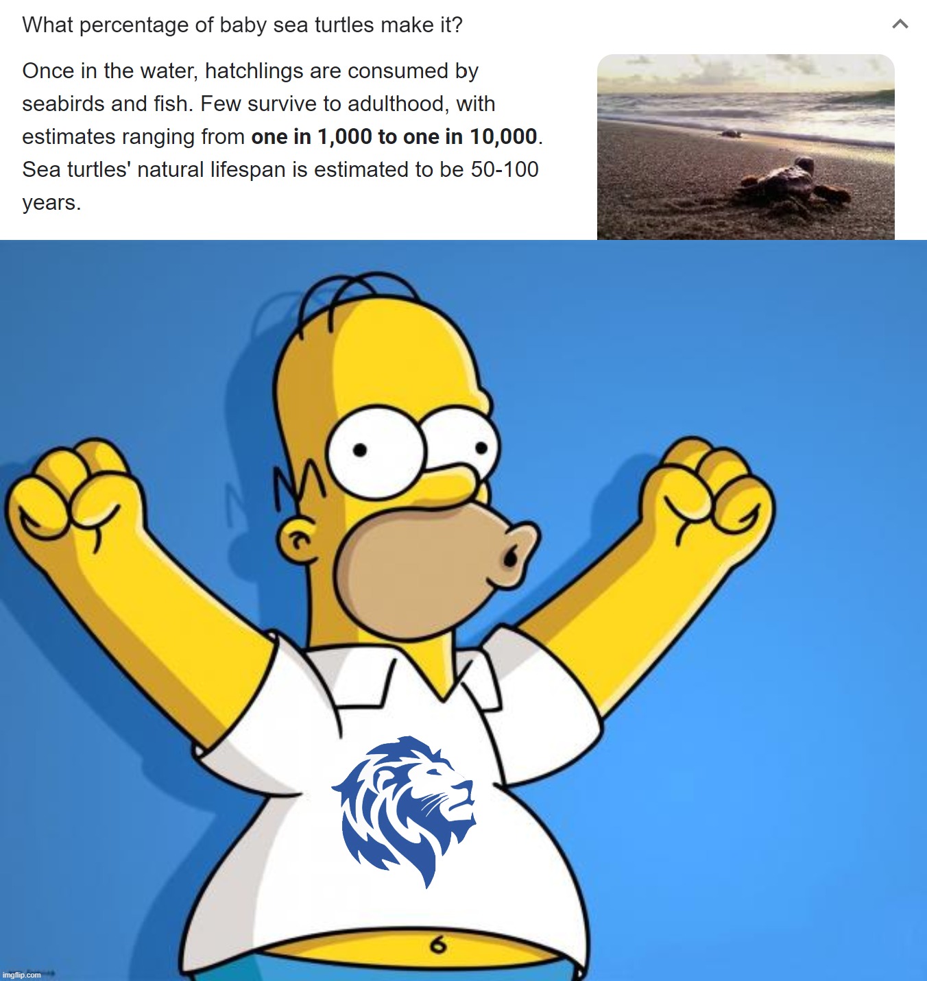 The Left lies & says your milk jugs & whatever are killing the turts. Nope, it's actually fish. #nature #facts #based | image tagged in what percentage of baby sea turtles make it,woohoo homer simpson | made w/ Imgflip meme maker