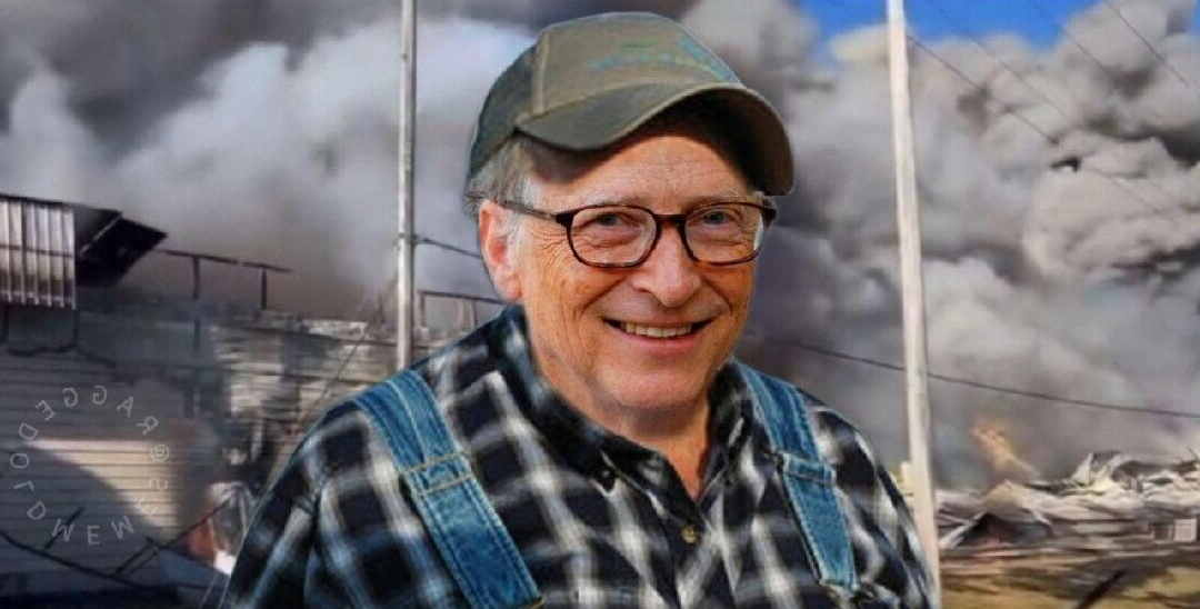 Chicken Thief Bill Gates arson Blank Meme Template