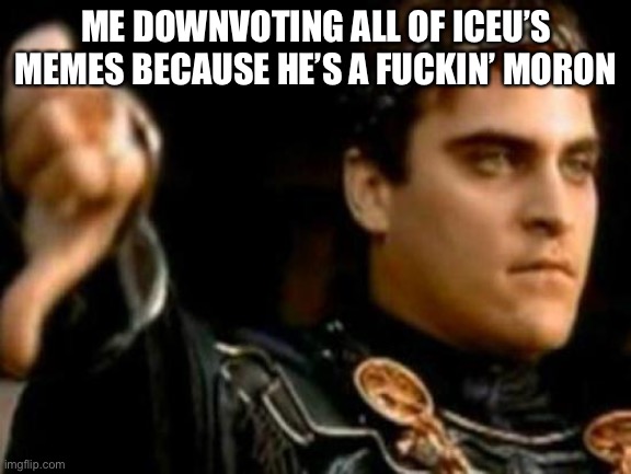 Idiot’s so soft | ME DOWNVOTING ALL OF ICEU’S MEMES BECAUSE HE’S A FUCKIN’ MORON | image tagged in memes,downvoting roman | made w/ Imgflip meme maker