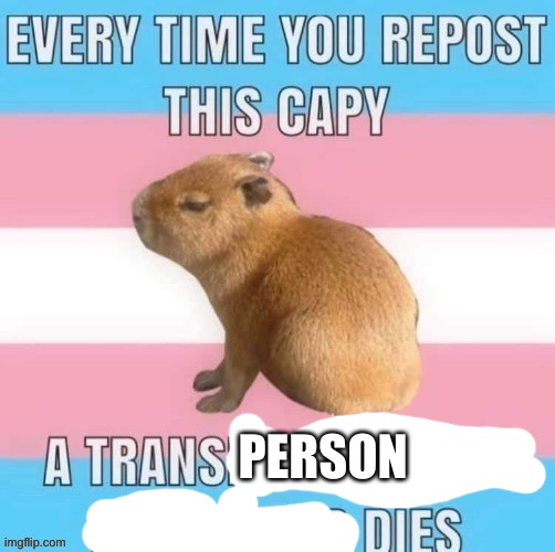 Miniscule amount of tomfoolery. | PERSON | made w/ Imgflip meme maker