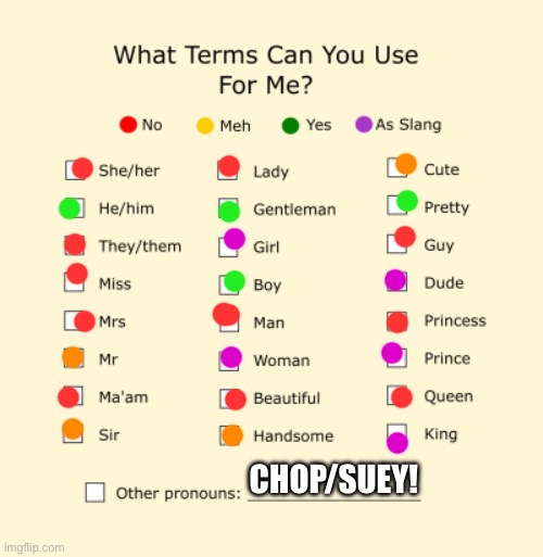 Random stuff | CHOP/SUEY! | image tagged in pronouns sheet | made w/ Imgflip meme maker
