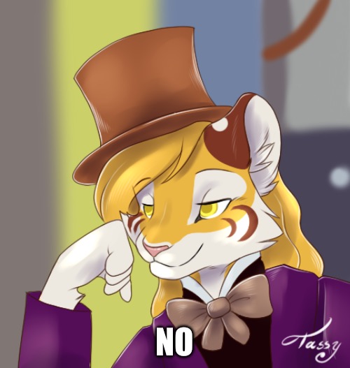 No | NO | image tagged in creepy condensing wonka furry | made w/ Imgflip meme maker