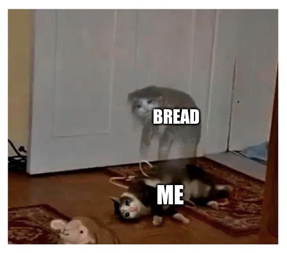 soul leaving cat's body | BREAD; ME | image tagged in soul leaving cat's body | made w/ Imgflip meme maker