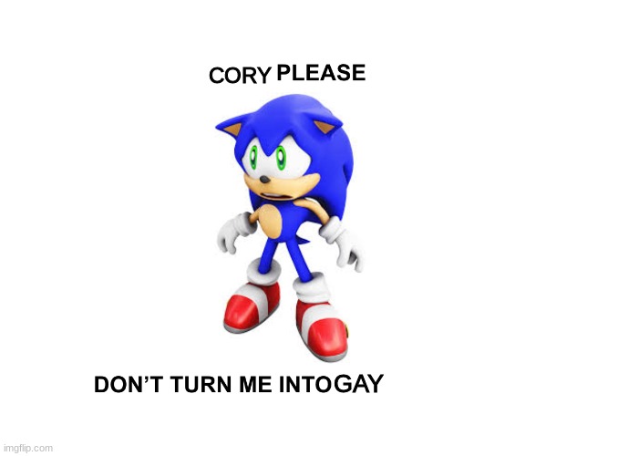 Sega please don't turn me into | CORY GAY | image tagged in sega please don't turn me into | made w/ Imgflip meme maker