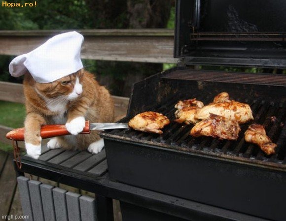 BIMBO GRILL | image tagged in bimbo grill | made w/ Imgflip meme maker