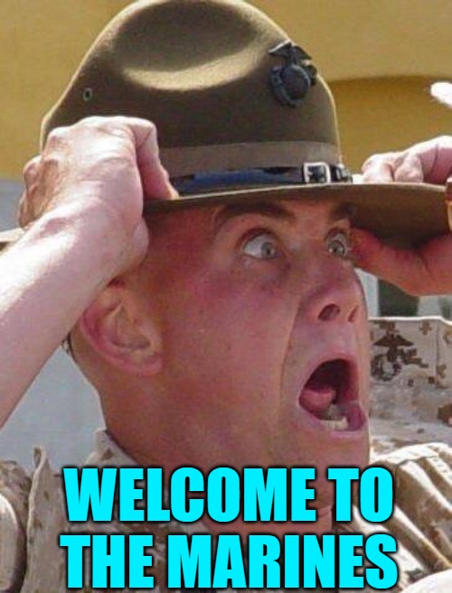 Marine Drill Sergeant  | WELCOME TO THE MARINES | image tagged in marine drill sergeant | made w/ Imgflip meme maker