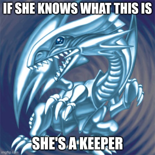 or he witch ever your into ig | IF SHE KNOWS WHAT THIS IS; SHE'S A KEEPER | image tagged in blue eyes white dragon | made w/ Imgflip meme maker