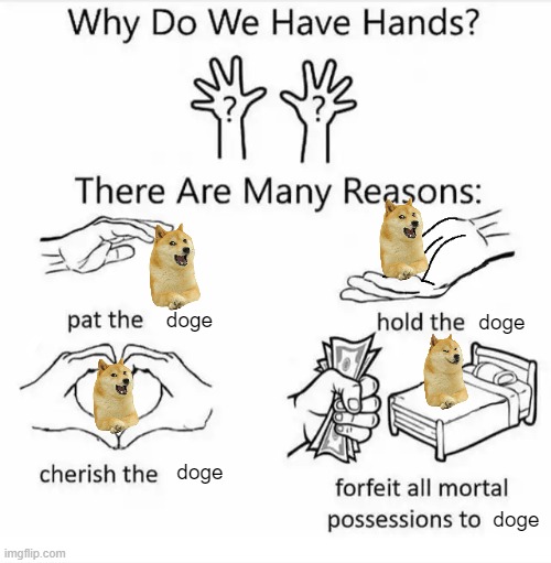 doge supremacy!!!!! | doge; doge; doge; doge | image tagged in why do we have hands all blank | made w/ Imgflip meme maker