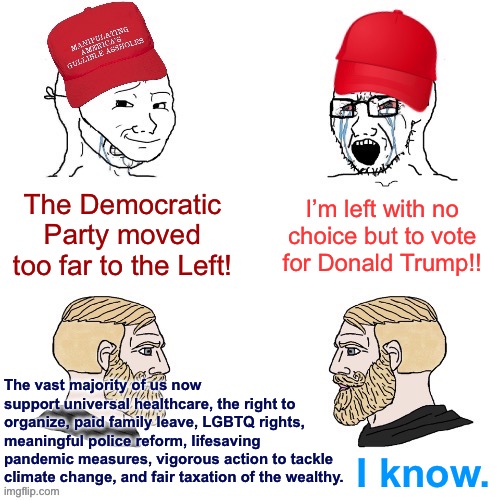 Indeed, the Democratic Party moved to the Left. And the problem with that is…? | I’m left with no choice but to vote for Donald Trump!! The Democratic Party moved too far to the Left! The vast majority of us now support universal healthcare, the right to organize, paid family leave, LGBTQ rights, meaningful police reform, lifesaving pandemic measures, vigorous action to tackle climate change, and fair taxation of the wealthy. I know. | image tagged in maga wojaks vs yes chad | made w/ Imgflip meme maker