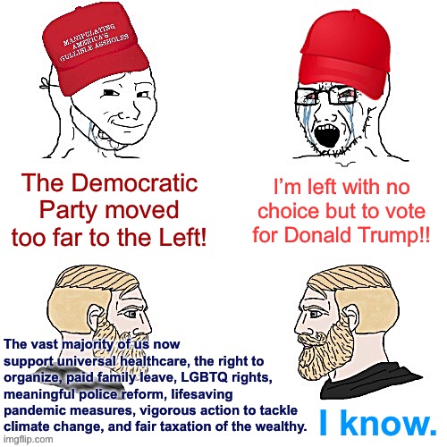 Maga wojaks vs. yes chad | I’m left with no choice but to vote for Donald Trump!! The Democratic Party moved too far to the Left! The vast majority of us now support universal healthcare, the right to organize, paid family leave, LGBTQ rights, meaningful police reform, lifesaving pandemic measures, vigorous action to tackle climate change, and fair taxation of the wealthy. I know. | image tagged in maga wojaks vs yes chad | made w/ Imgflip meme maker