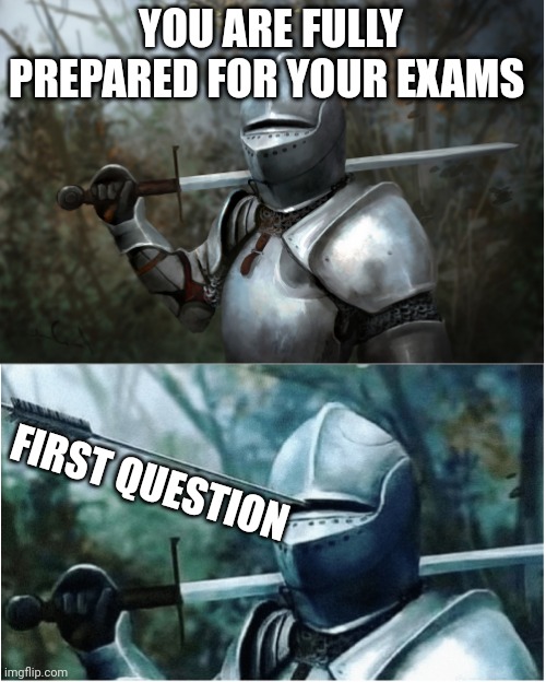 Knight with arrow in helmet | YOU ARE FULLY PREPARED FOR YOUR EXAMS; FIRST QUESTION | image tagged in knight with arrow in helmet | made w/ Imgflip meme maker