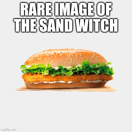 Very rare | RARE IMAGE OF THE SAND WITCH | image tagged in bk og chicken sandwich | made w/ Imgflip meme maker