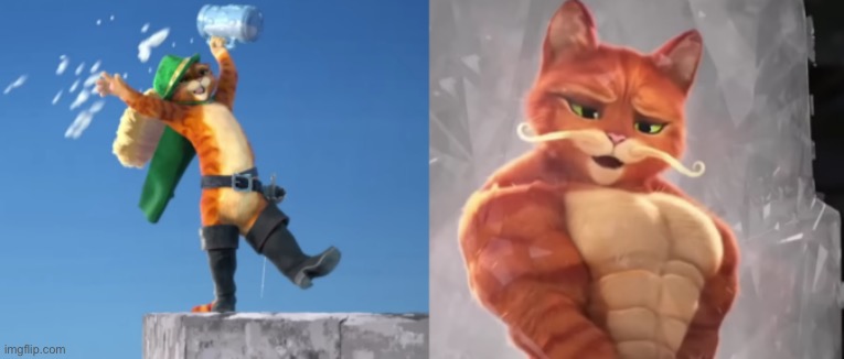 Drunk Puss and Buff Puss | image tagged in drunk puss and buff puss | made w/ Imgflip meme maker