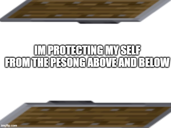 IM PROTECTING MY SELF FROM THE PESONG ABOVE AND BELOW | made w/ Imgflip meme maker