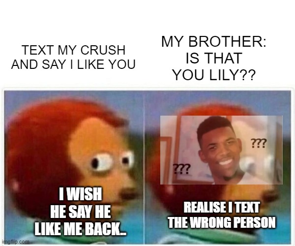 Monkey Puppet Meme | MY BROTHER: IS THAT YOU LILY?? TEXT MY CRUSH AND SAY I LIKE YOU; I WISH HE SAY HE LIKE ME BACK.. REALISE I TEXT THE WRONG PERSON | image tagged in memes,monkey puppet | made w/ Imgflip meme maker