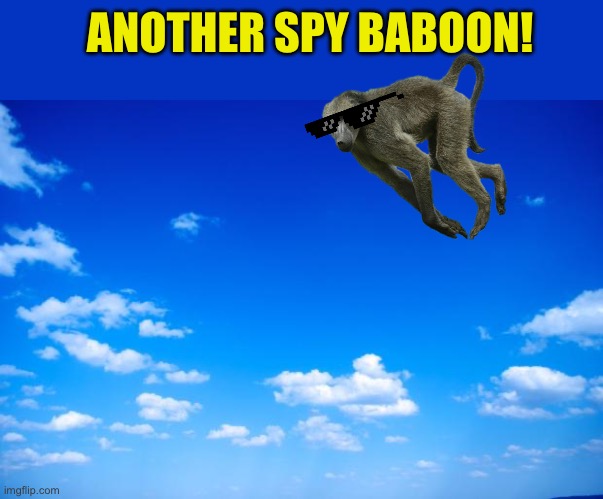 Monkey business :-) | ANOTHER SPY BABOON! | image tagged in blue sky,baboon,balloon,spying,memes | made w/ Imgflip meme maker