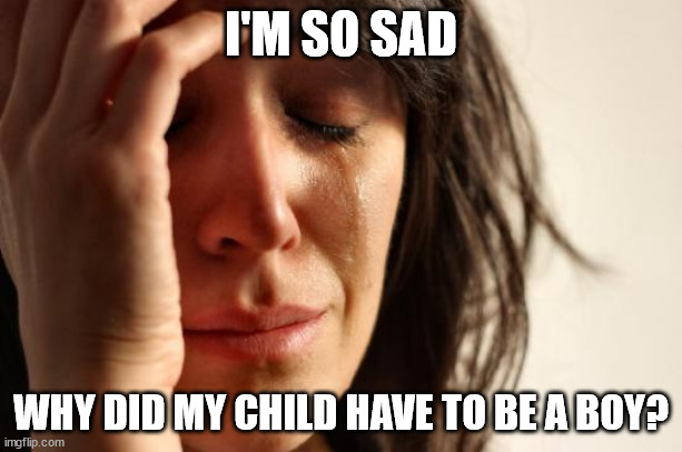 First World Problems Meme | I'M SO SAD; WHY DID MY CHILD HAVE TO BE A BOY? | image tagged in memes,first world problems | made w/ Imgflip meme maker