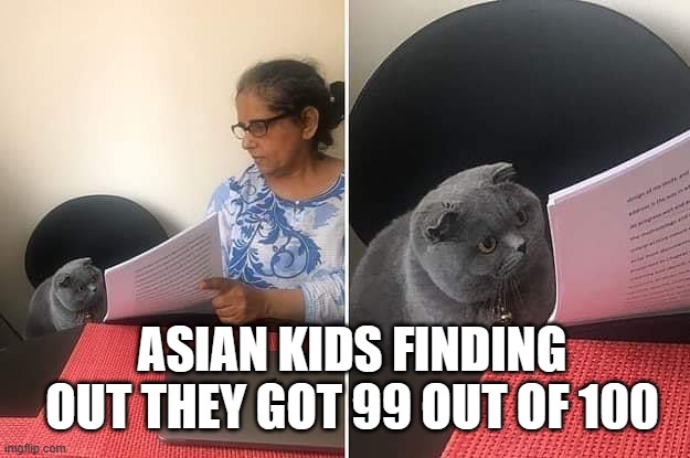 asia | ASIAN KIDS FINDING OUT THEY GOT 99 OUT OF 100 | image tagged in woman showing paper to cat,asian,cat | made w/ Imgflip meme maker