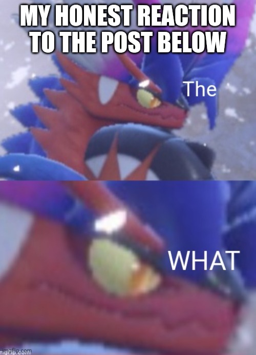 The What (Koraidon Edition) | MY HONEST REACTION TO THE POST BELOW | image tagged in the what koraidon edition | made w/ Imgflip meme maker