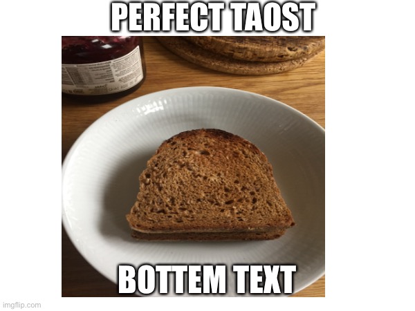 PERFECT TAOST; BOTTEM TEXT | made w/ Imgflip meme maker