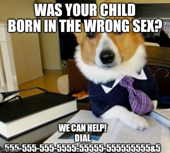 Lawyer Corgi Dog | WAS YOUR CHILD BORN IN THE WRONG SEX? WE CAN HELP! DIAL 555-555-555-5555-55555-555555555&5 | image tagged in lawyer corgi dog | made w/ Imgflip meme maker