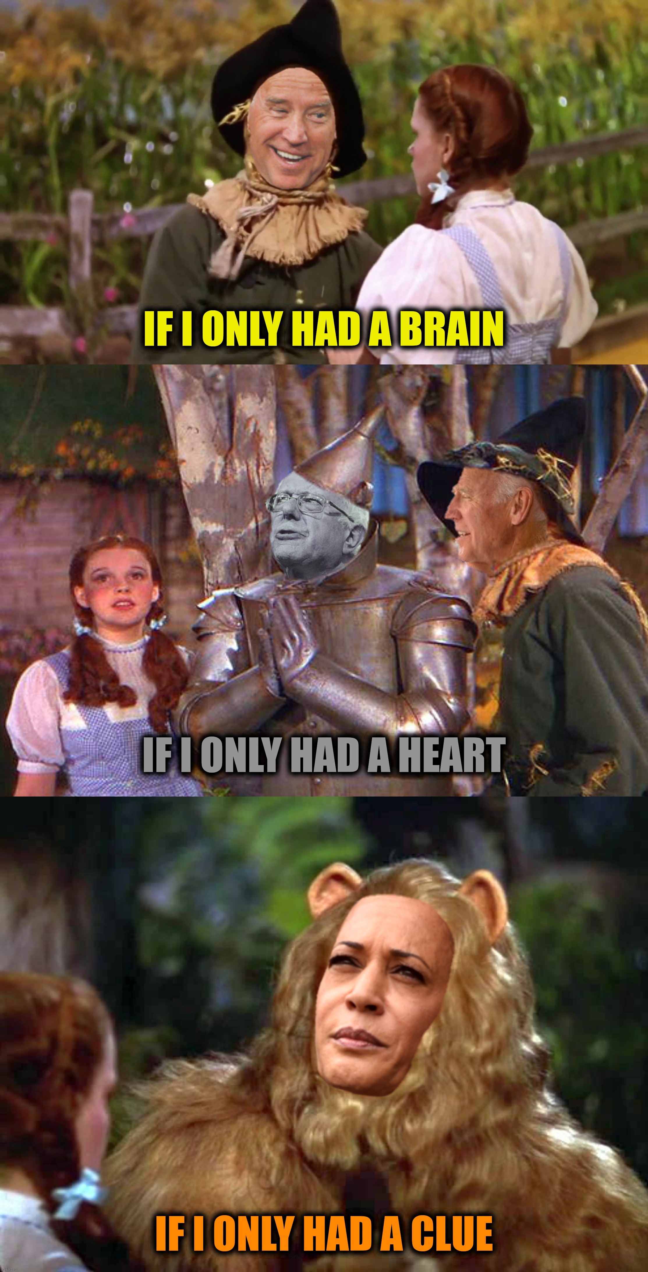 IF I ONLY HAD A BRAIN IF I ONLY HAD A HEART IF I ONLY HAD A CLUE | made w/ Imgflip meme maker