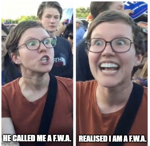 Woke Woman | HE CALLED ME A F.W.A. REALISED I AM A F.W.A. | made w/ Imgflip meme maker